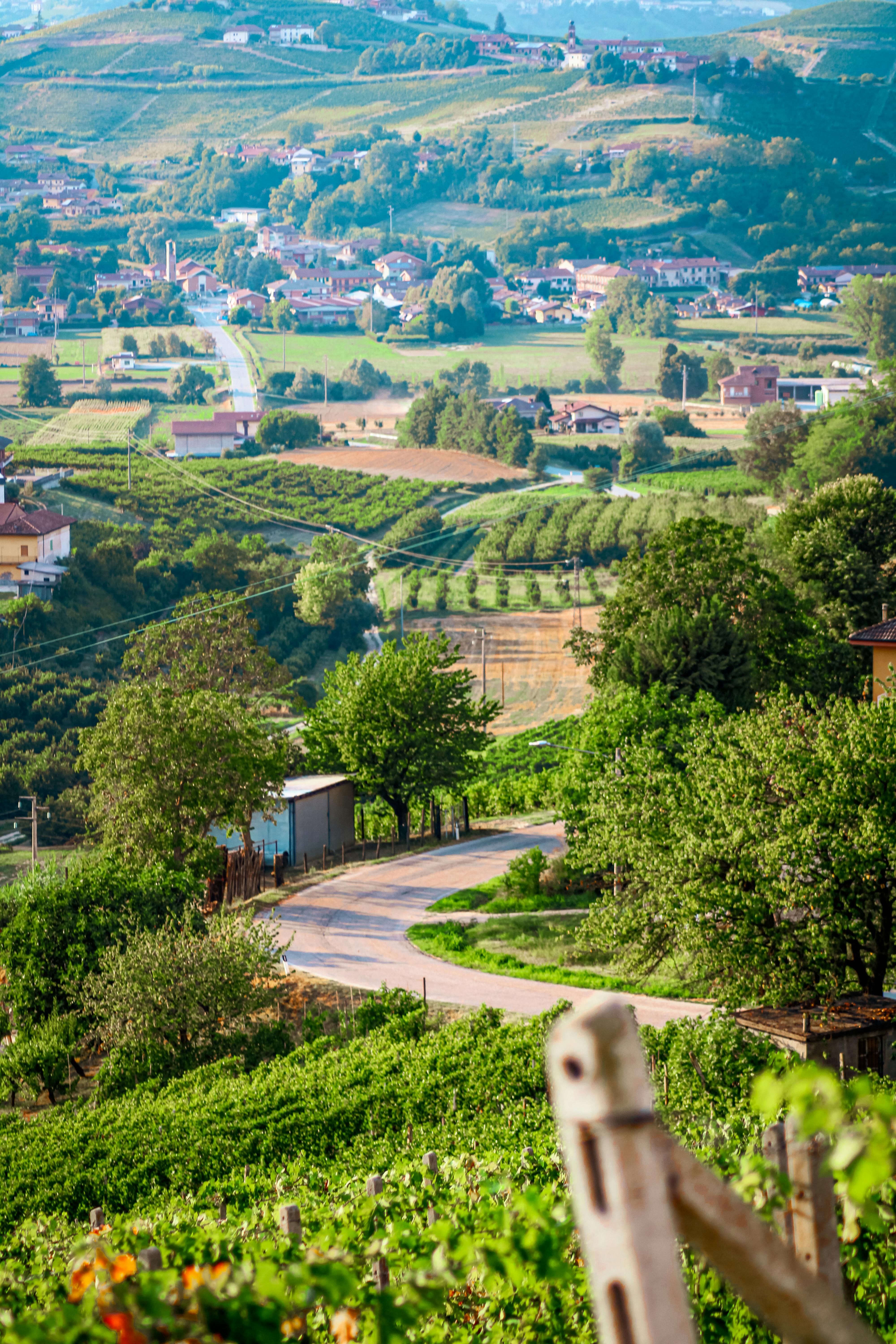7 posti del Basso Piemonte che meritano di essere visitati