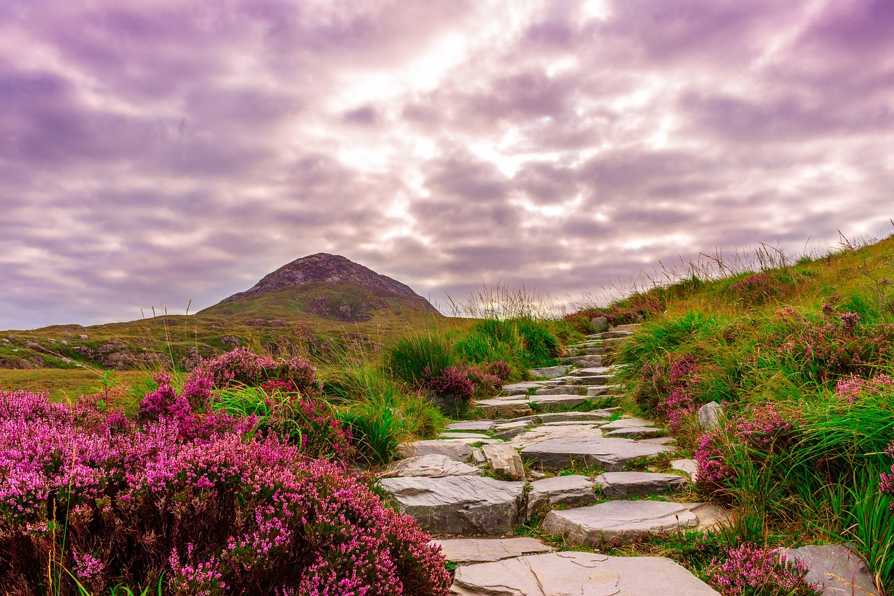 Tour per l’Irlanda: cosa c’è da scoprire