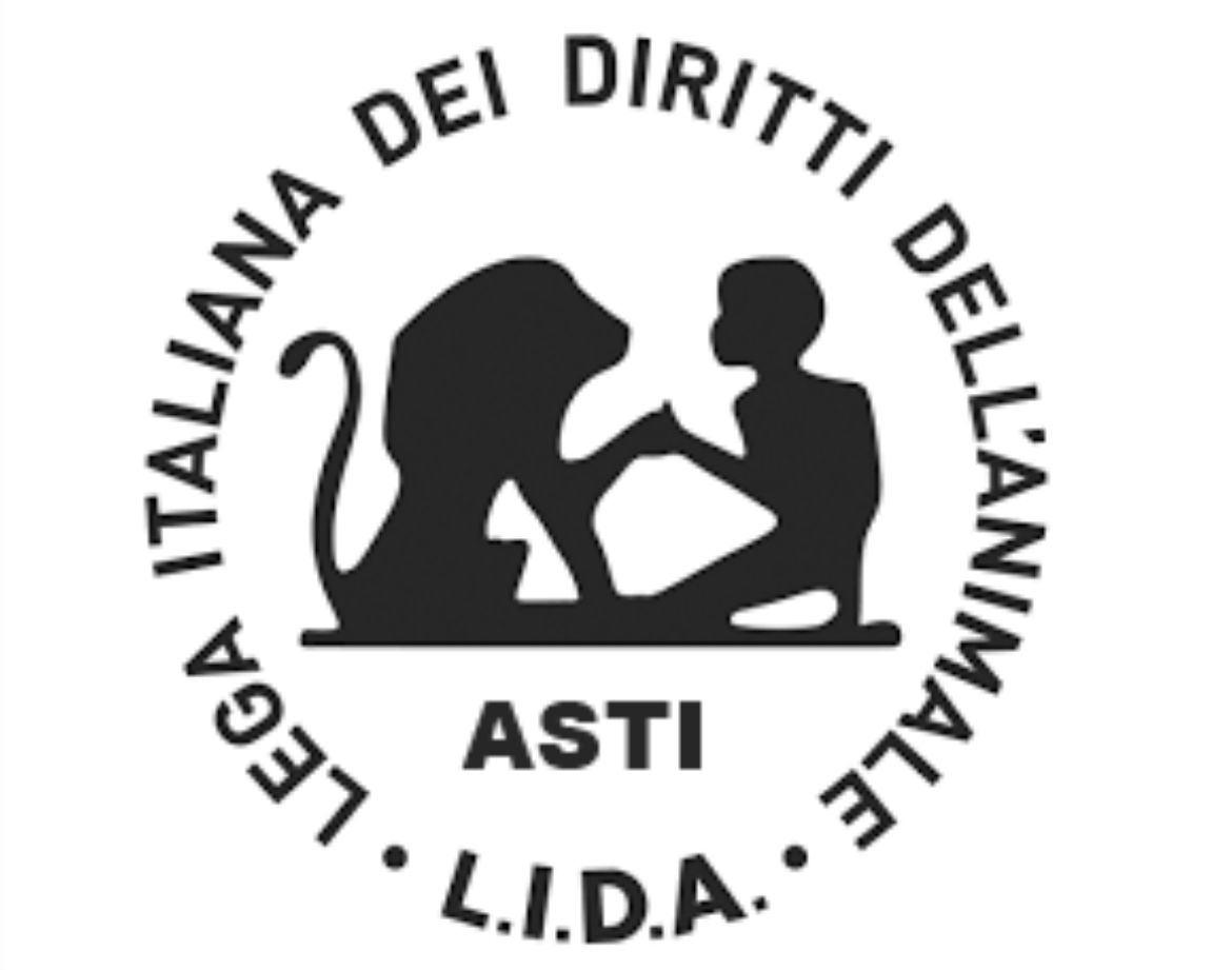Contro l’abbandono: quando gli animali ci insegnano come andare oltre al dolore e all’ingiustizia