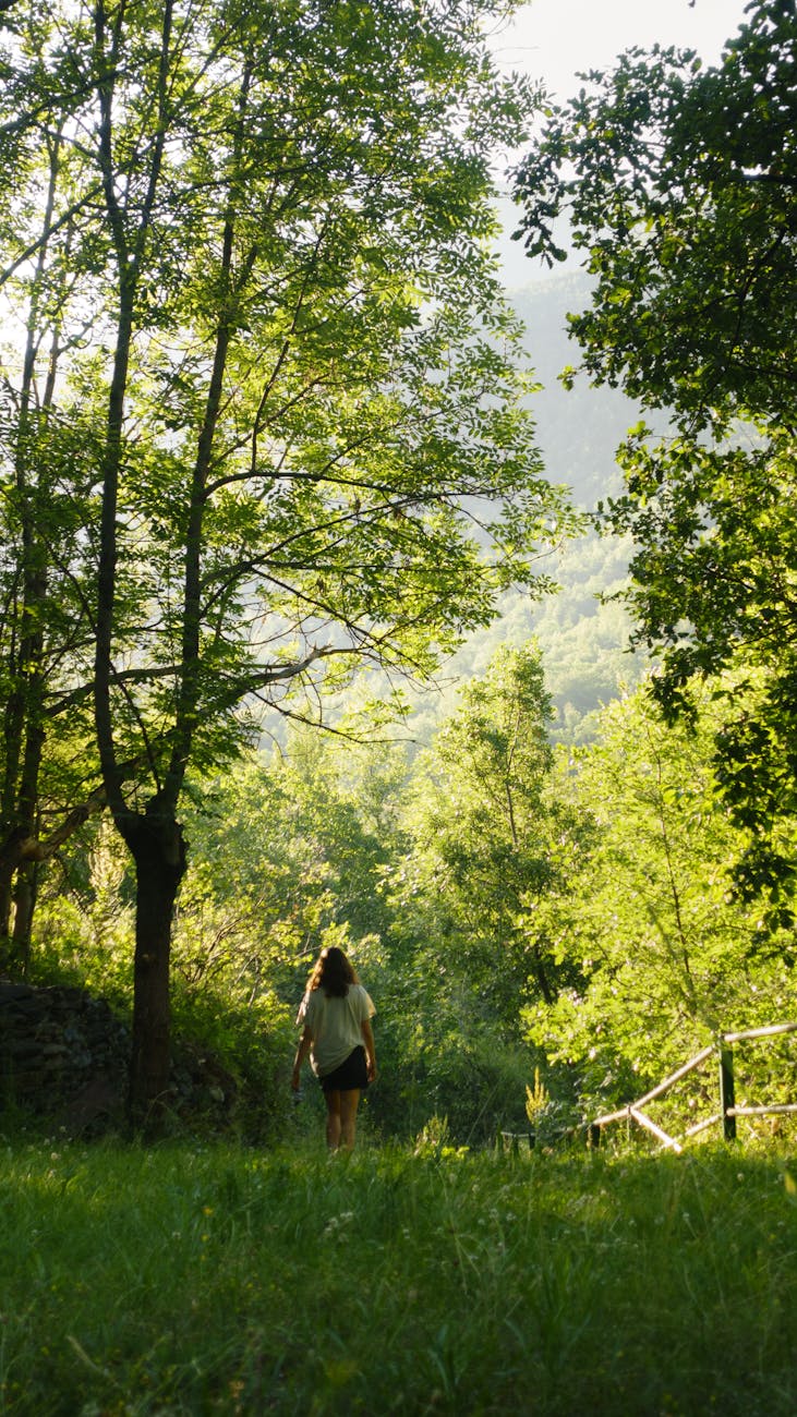 Dare voce alla natura: l’ecocritica