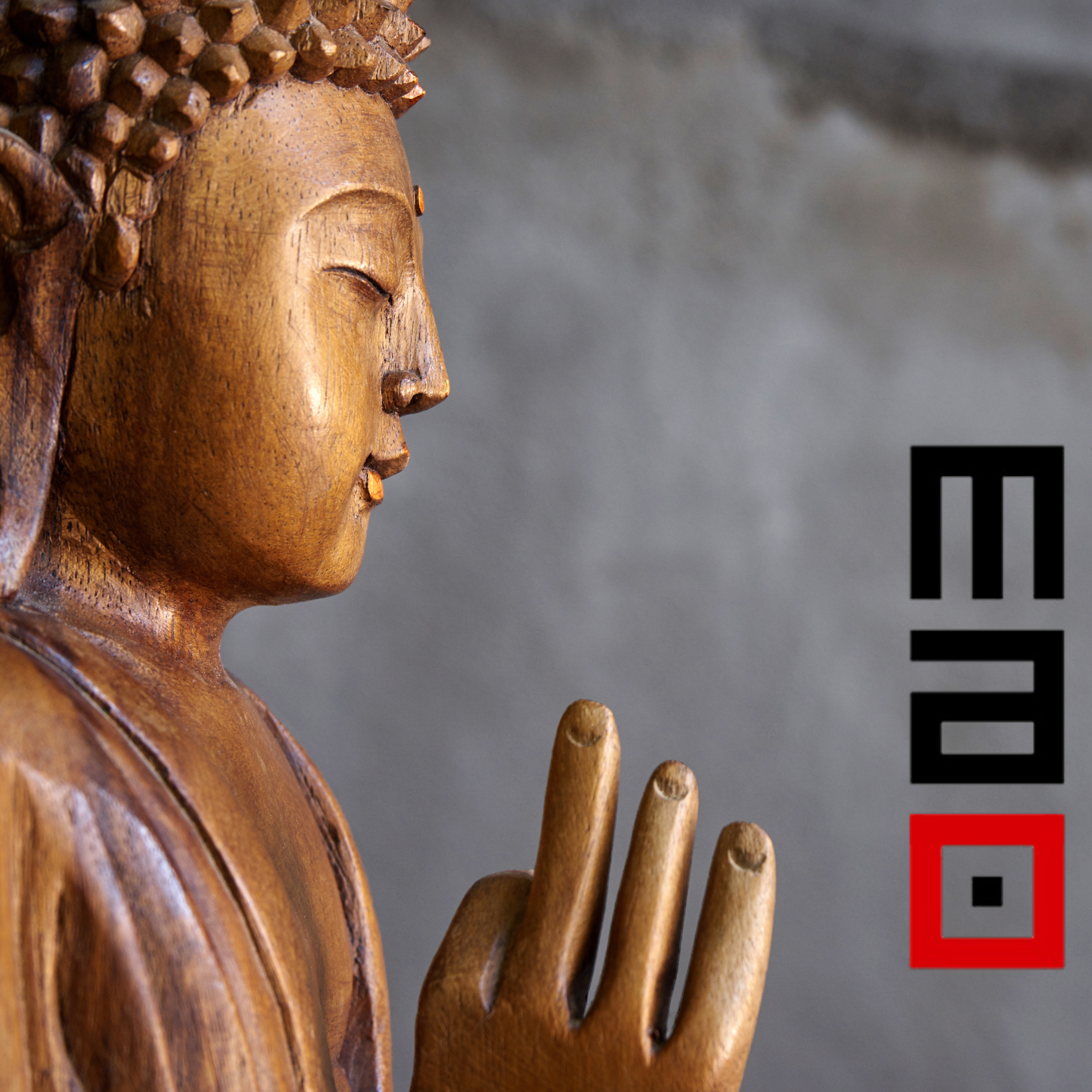 Buddha 10 Reloaded e Sonic Blossom: un’imperdibile esperienza presso il MAO