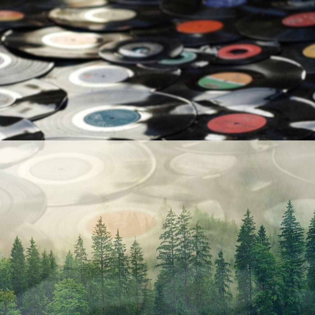 HEALING TIME ON EARTH: la lezione profonda di umanità ed ecologia di John Denver