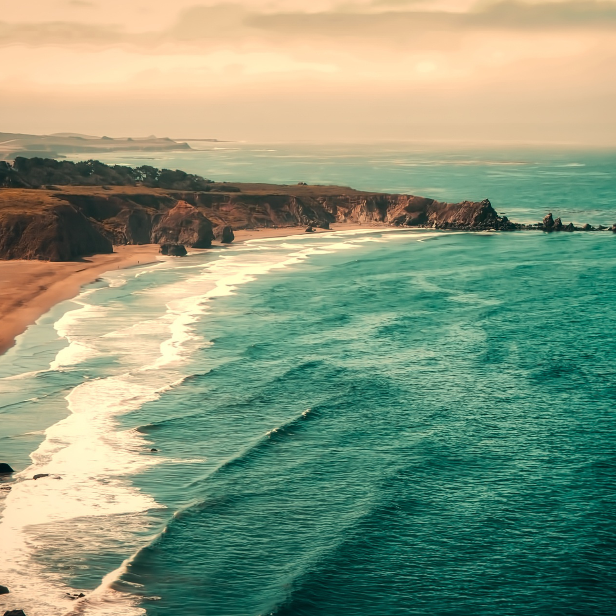 Nuova Poesia Americana: un tuffo nella poesia d’oltreoceano.
