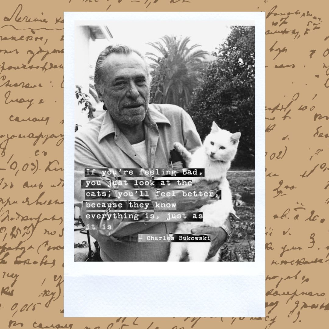 Quei gatti di Bukowski