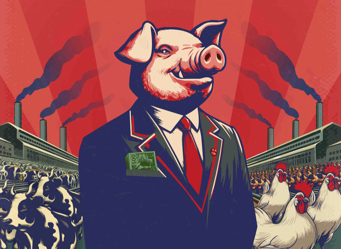 Food for Profit: dietro le quinte dell’industria della carne