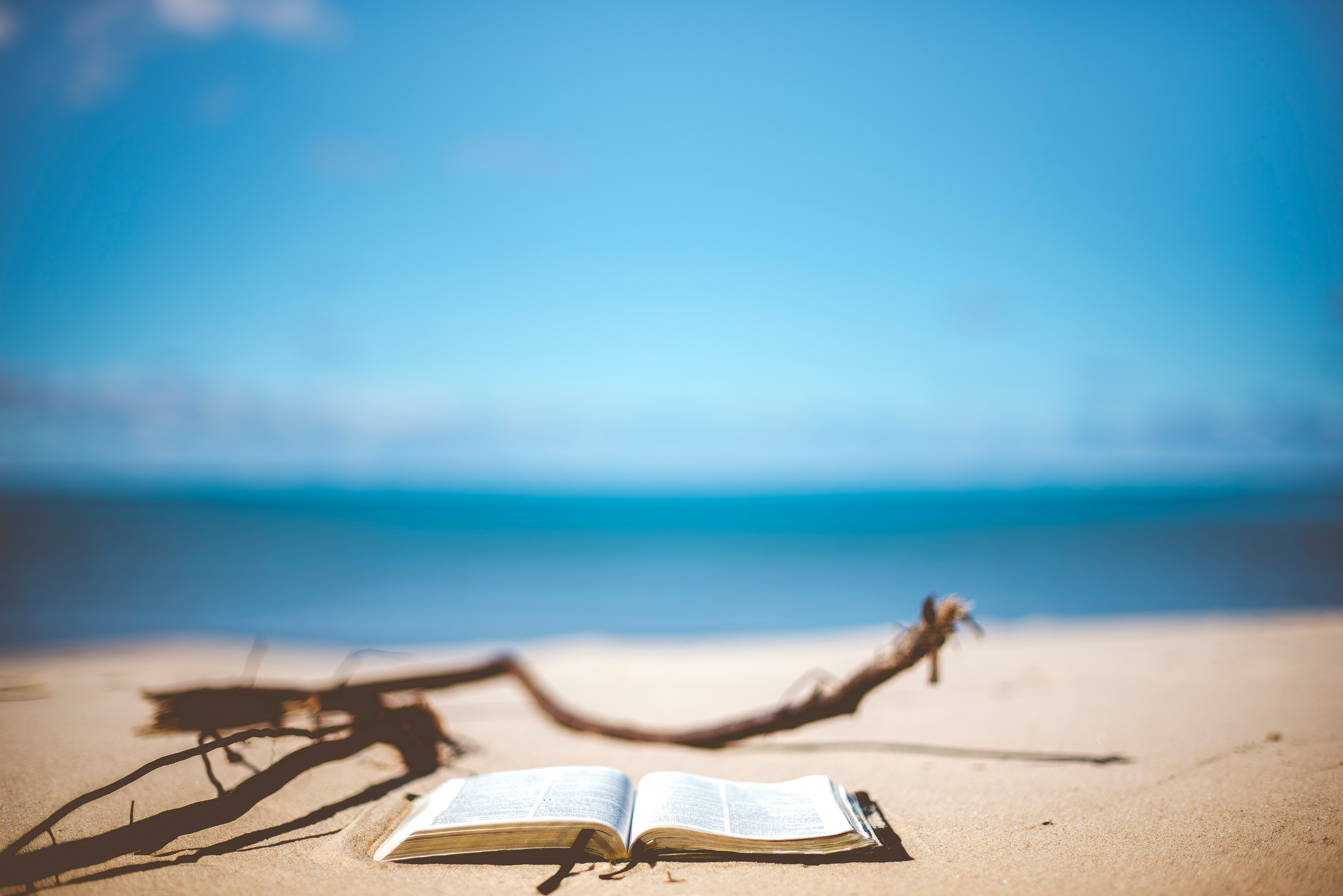Letture in vacanza: i nostri 6 consigli