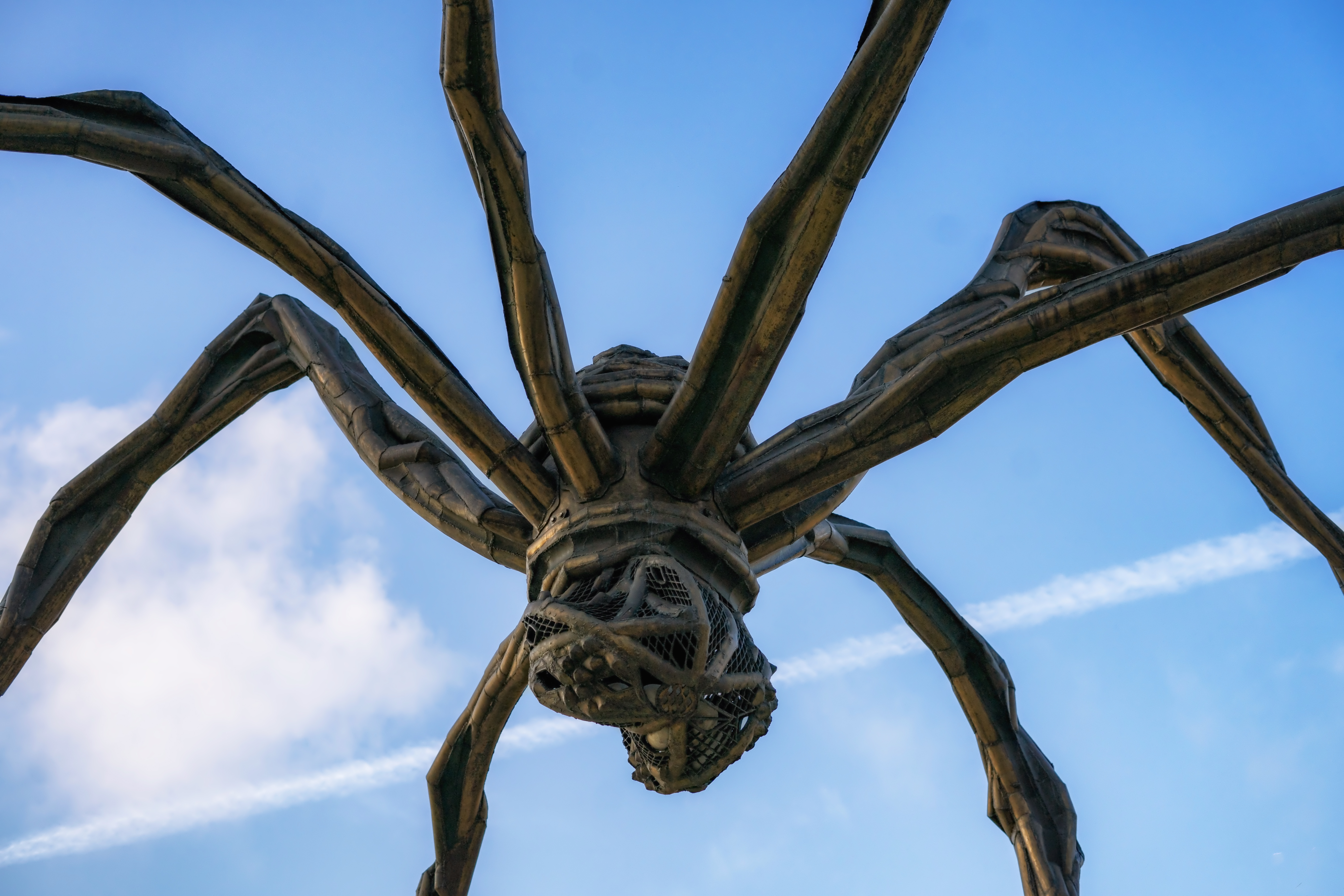 Louise Bourgeois: l’inconscio della memoria
