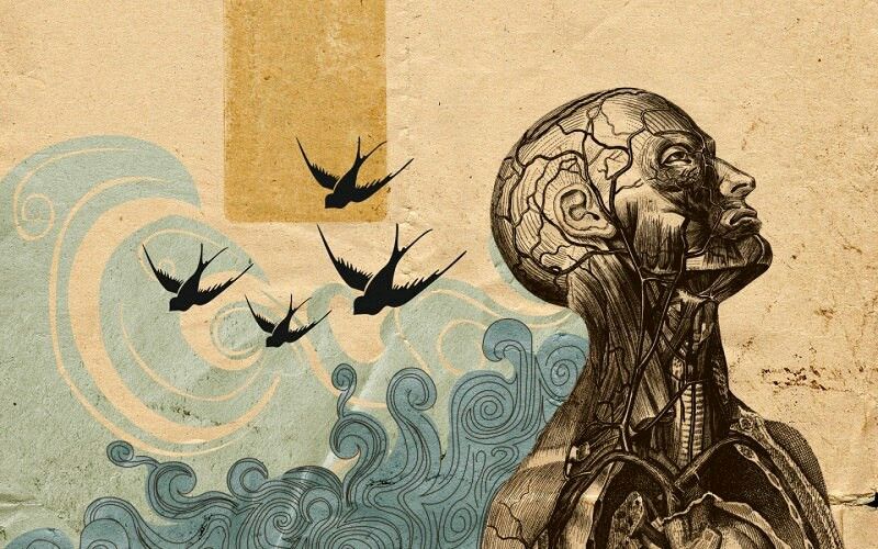 I segreti dell’inconscio: la neuroscienza svela il mondo dei sogni
