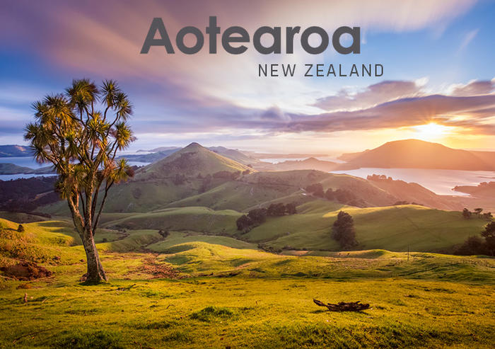 From Silence to Cinema: The Case of New Zealand/Aotearoa 