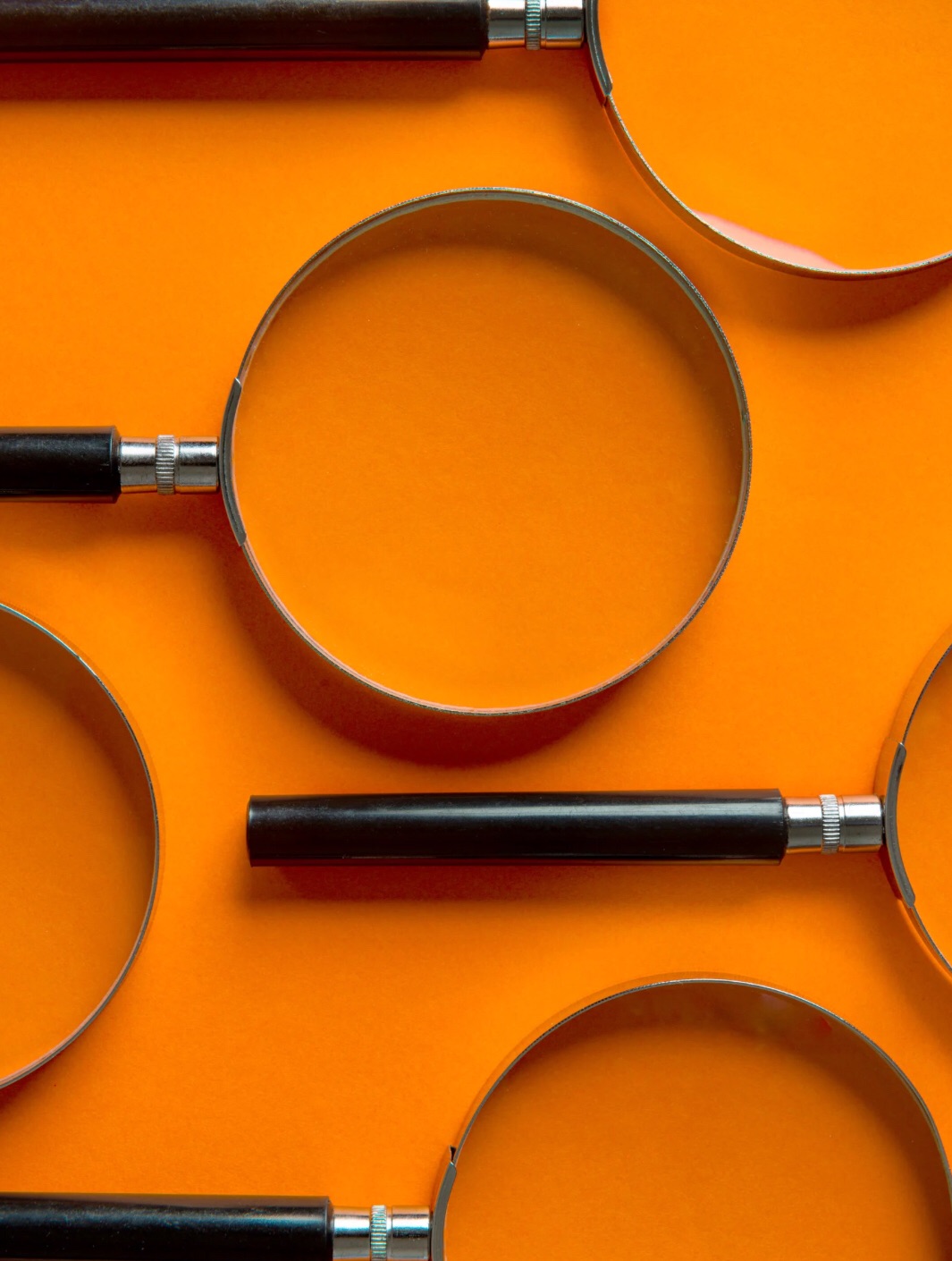 Undergraduate Research: Between Metaphors, Methods, and Meanings