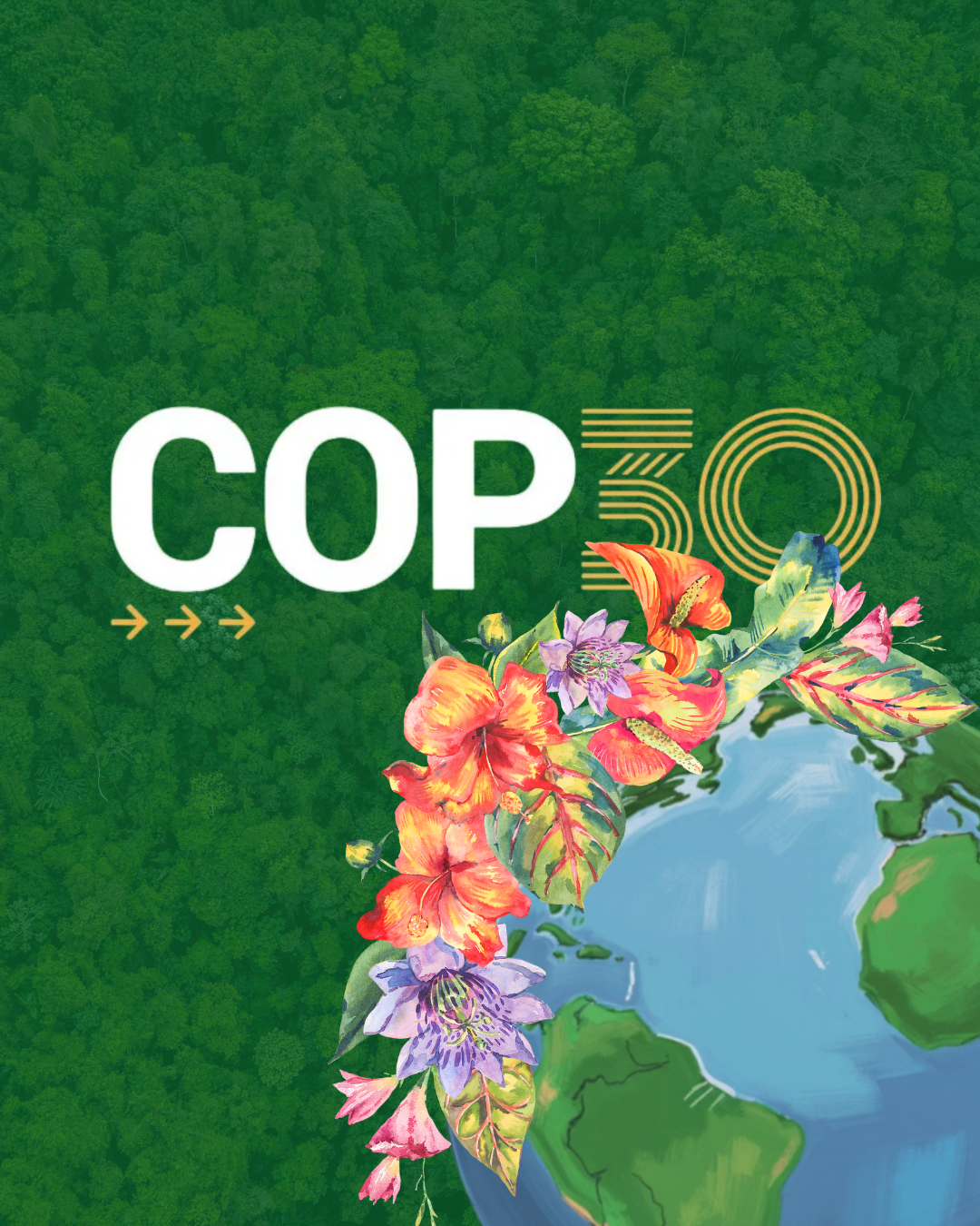 Cosa è successo alla COP30 di Belém?