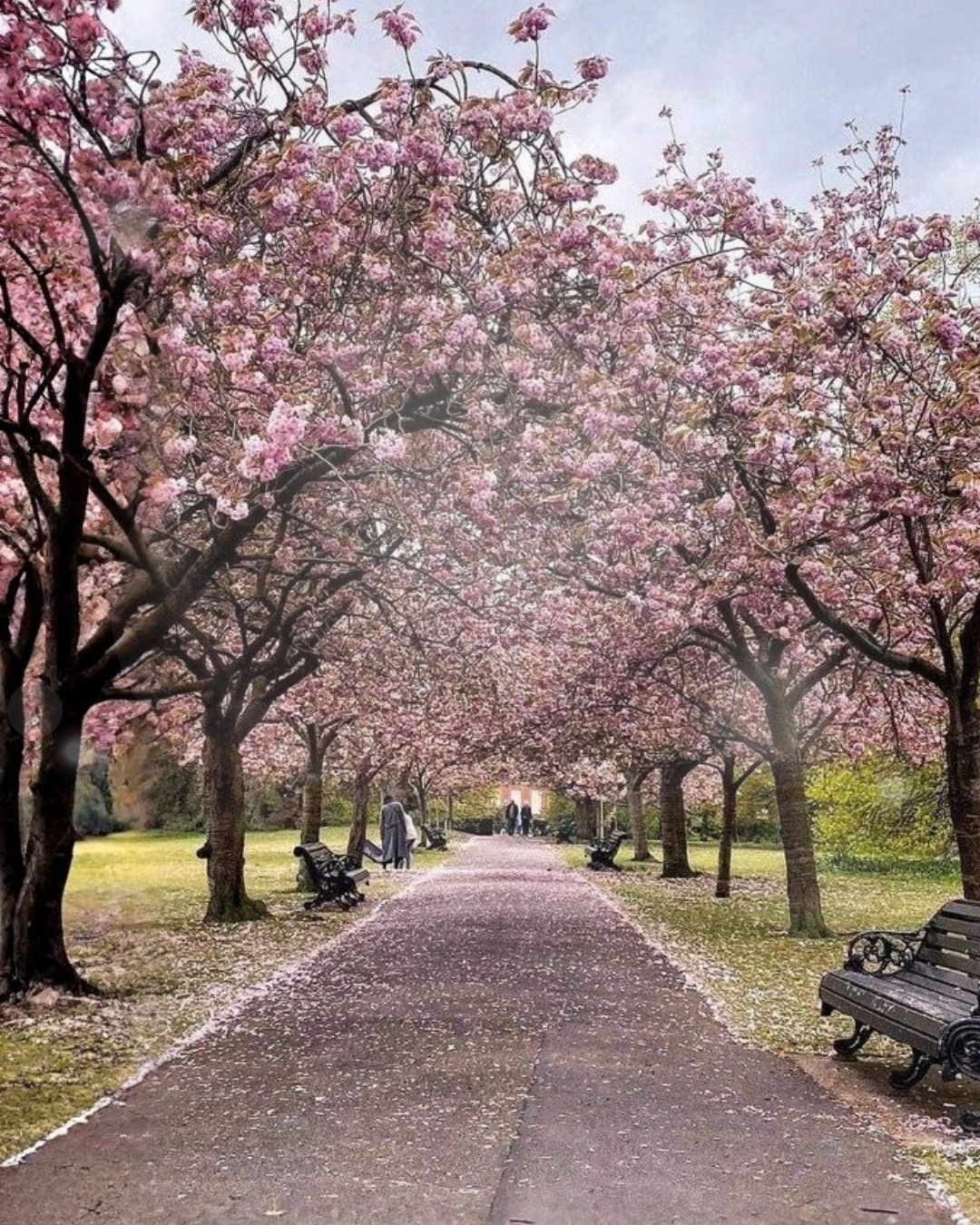 La primavera a Torino (e dintorni)