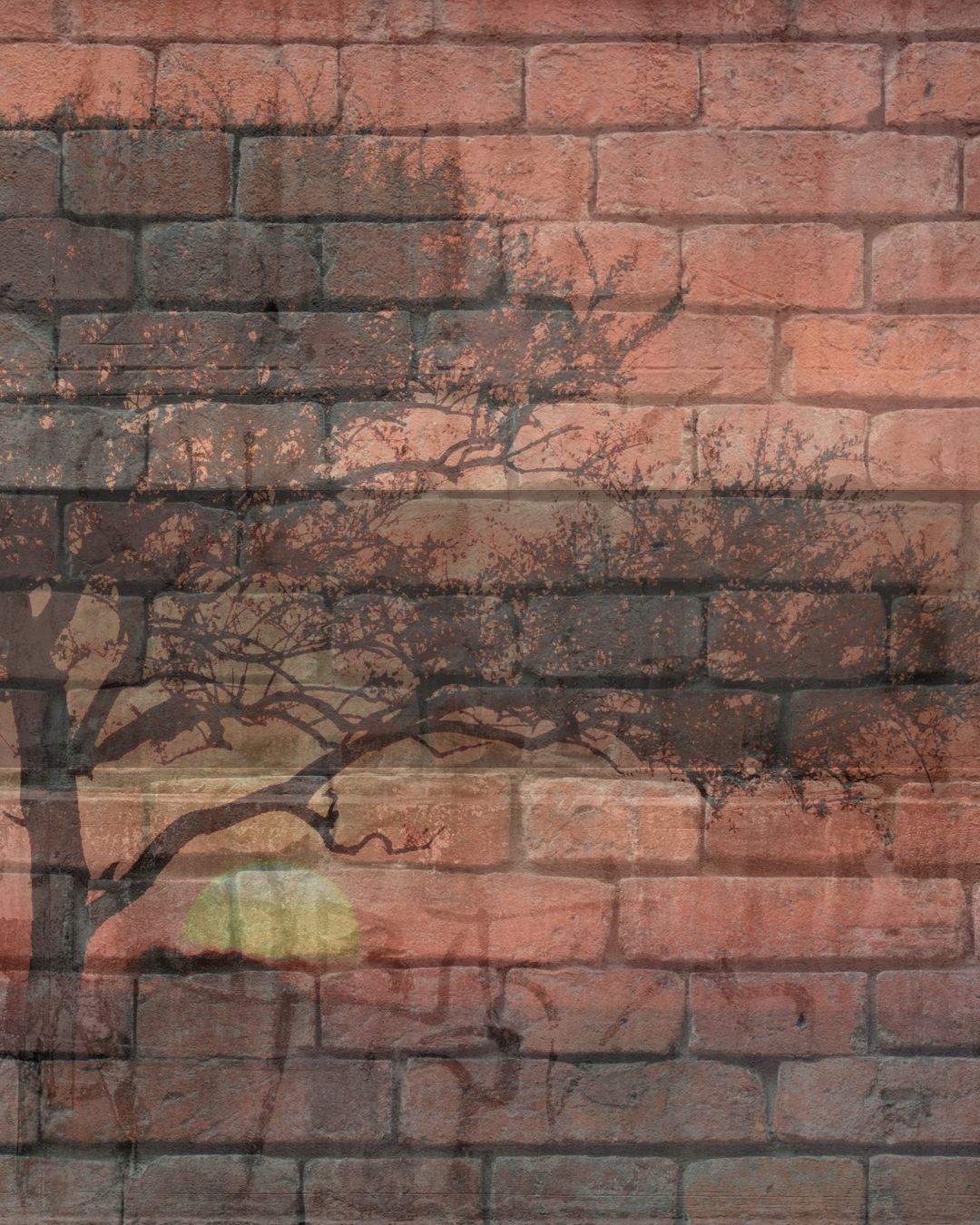Muri invisibili, muri concreti: la retorica della sicurezza